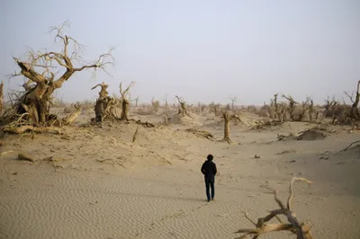 Die Taklamakan-Wüste breitet sich aus.